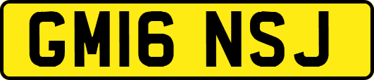 GM16NSJ