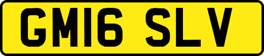 GM16SLV