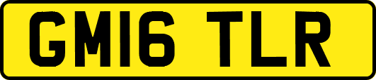 GM16TLR