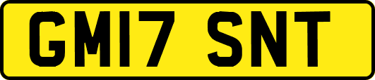 GM17SNT