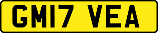 GM17VEA