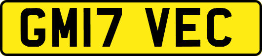 GM17VEC