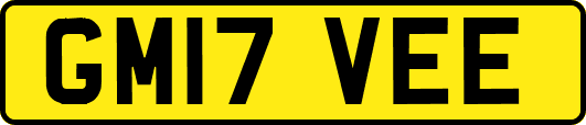 GM17VEE