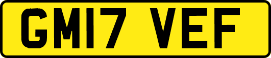 GM17VEF