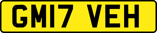 GM17VEH