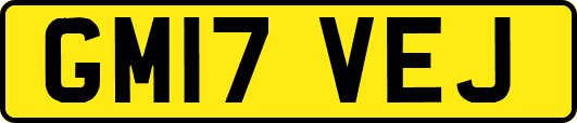 GM17VEJ