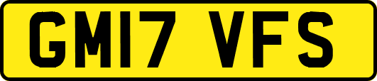 GM17VFS