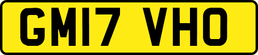 GM17VHO