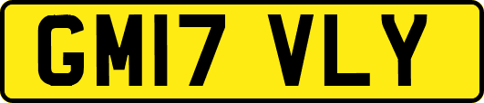 GM17VLY