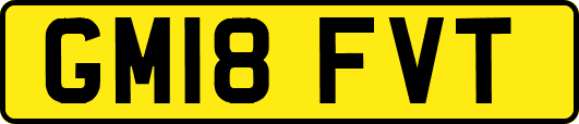GM18FVT