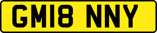 GM18NNY