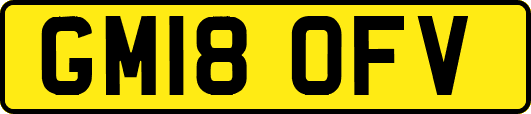 GM18OFV