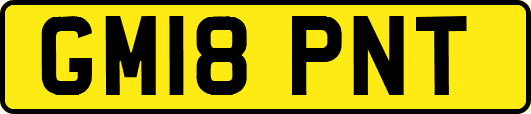 GM18PNT