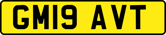 GM19AVT