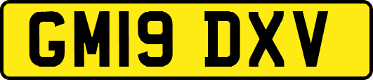 GM19DXV