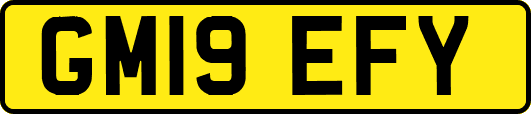 GM19EFY