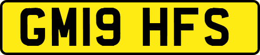 GM19HFS