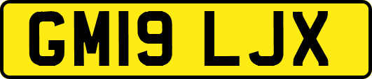 GM19LJX