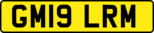 GM19LRM