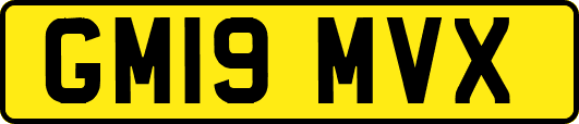 GM19MVX