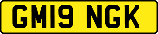 GM19NGK