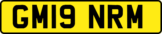 GM19NRM