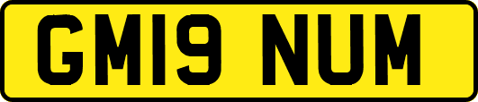 GM19NUM