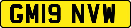 GM19NVW