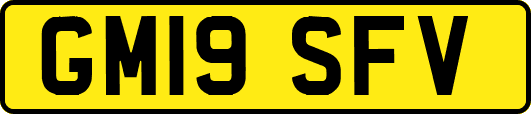 GM19SFV