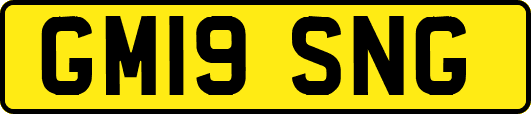 GM19SNG