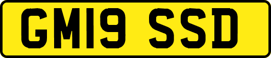 GM19SSD