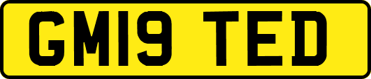GM19TED