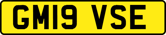 GM19VSE
