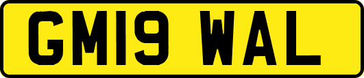 GM19WAL