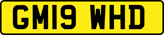 GM19WHD