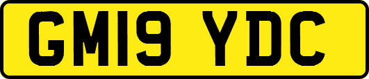 GM19YDC
