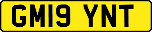 GM19YNT