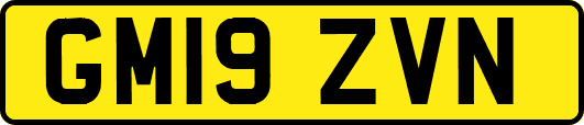 GM19ZVN