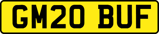 GM20BUF