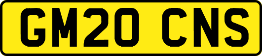 GM20CNS