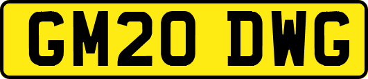 GM20DWG