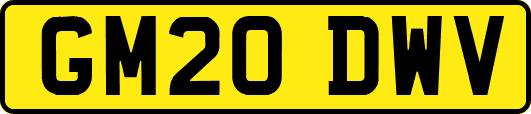 GM20DWV