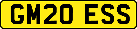 GM20ESS