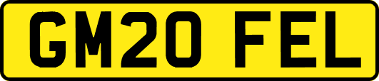 GM20FEL
