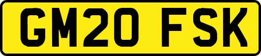GM20FSK