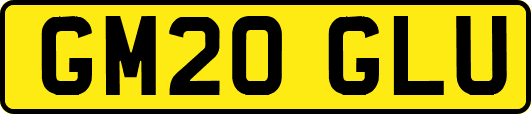 GM20GLU