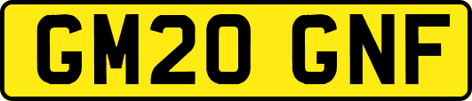 GM20GNF