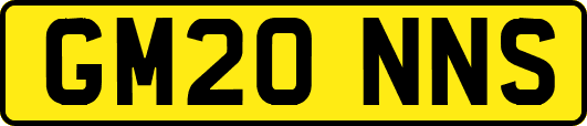 GM20NNS