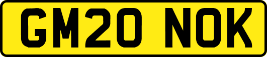 GM20NOK