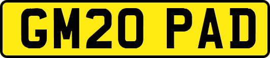 GM20PAD